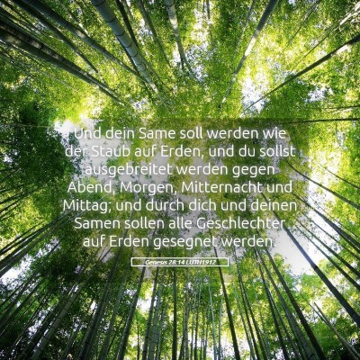 Picture 05 - Genesis 28:14 LUTH1912 - Und dein Same soll werden wie der Staub auf - Bible Verse Picture