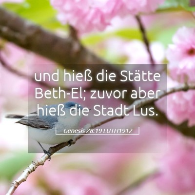 Picture 05 - Genesis 28:19 LUTH1912 - und hieß die Stätte Beth-El; zuvor aber hieß - Bible Verse Picture