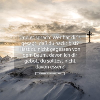 Picture 05 - Genesis 3:11 LUTH1912 - Und er sprach: Wer hat dir's gesagt, daß du - Bible Verse Picture
