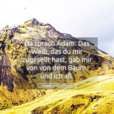 Picture 05 - Genesis 3:12 LUTH1912 - Da sprach Adam: Das Weib, das du mir zugesellt - Bible Verse Picture