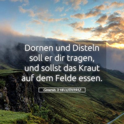 Picture 05 - Genesis 3:18 LUTH1912 - Dornen und Disteln soll er dir tragen, und sollst - Bible Verse Picture