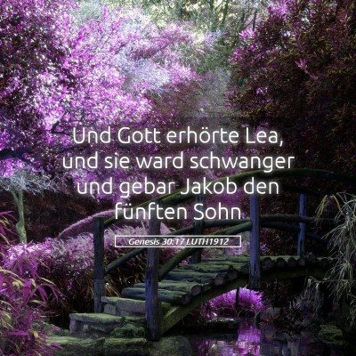 Picture 05 - Genesis 30:17 LUTH1912 - Und Gott erhörte Lea, und sie ward schwanger und - Bible Verse Picture