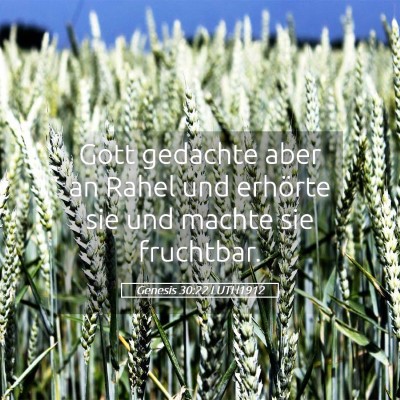 Picture 05 - Genesis 30:22 LUTH1912 - Gott gedachte aber an Rahel und erhörte sie und - Bible Verse Picture