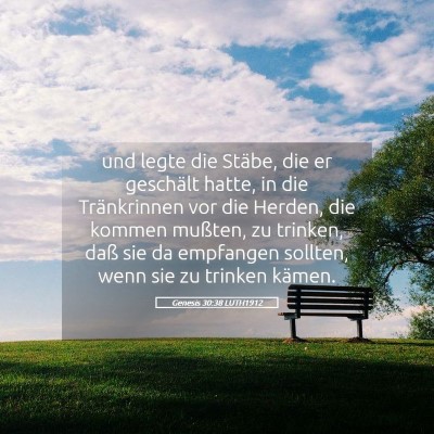 Picture 05 - Genesis 30:38 LUTH1912 - und legte die Stäbe, die er geschält hatte, in - Bible Verse Picture