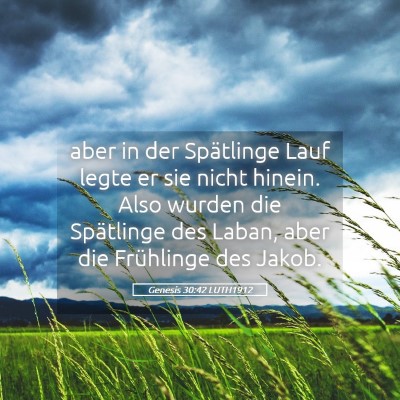 Picture 05 - Genesis 30:42 LUTH1912 - aber in der Spätlinge Lauf legte er sie nicht - Bible Verse Picture