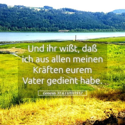 Picture 05 - Genesis 31:6 LUTH1912 - Und ihr wißt, daß ich aus allen meinen Kräften - Bible Verse Picture