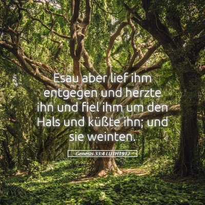 Picture 05 - Genesis 33:4 LUTH1912 - Esau aber lief ihm entgegen und herzte ihn und - Bible Verse Picture