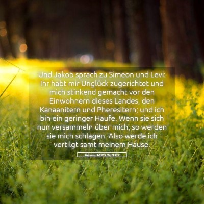 Picture 05 - Genesis 34:30 LUTH1912 - Und Jakob sprach zu Simeon und Levi: Ihr habt mir - Bible Verse Picture