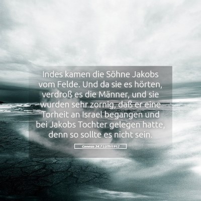 Picture 05 - Genesis 34:7 LUTH1912 - Indes kamen die Söhne Jakobs vom Felde. Und da - Bible Verse Picture