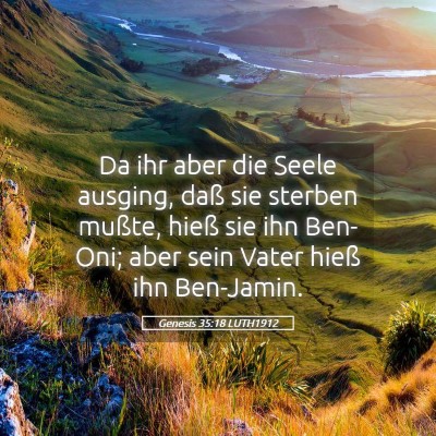Picture 05 - Genesis 35:18 LUTH1912 - Da ihr aber die Seele ausging, daß sie sterben - Bible Verse Picture