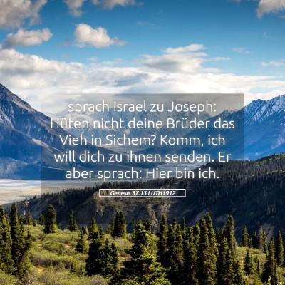 Picture 05 - Genesis 37:13 LUTH1912 - sprach Israel zu Joseph: Hüten nicht deine - Bible Verse Picture