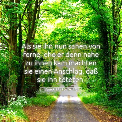 Picture 05 - Genesis 37:18 LUTH1912 - Als sie ihn nun sahen von ferne, ehe er denn nahe - Bible Verse Picture