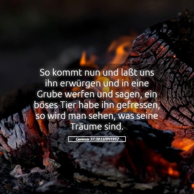 Picture 05 - Genesis 37:20 LUTH1912 - So kommt nun und laßt uns ihn erwürgen und in - Bible Verse Picture