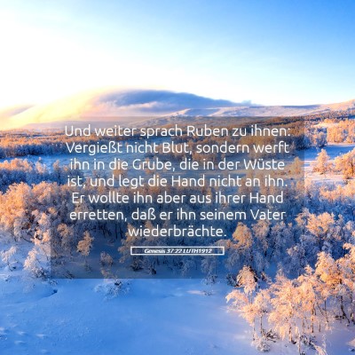Picture 05 - Genesis 37:22 LUTH1912 - Und weiter sprach Ruben zu ihnen: Vergießt nicht - Bible Verse Picture