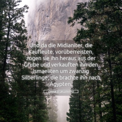 Picture 05 - Genesis 37:28 LUTH1912 - Und da die Midianiter, die Kaufleute, - Bible Verse Picture