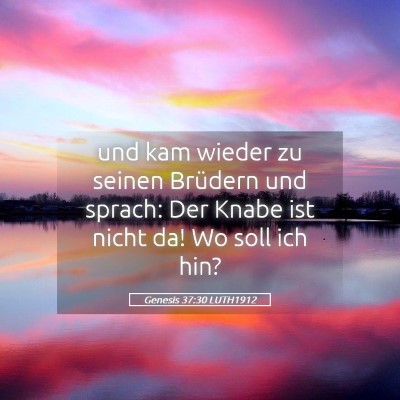 Picture 05 - Genesis 37:30 LUTH1912 - und kam wieder zu seinen Brüdern und sprach: Der - Bible Verse Picture