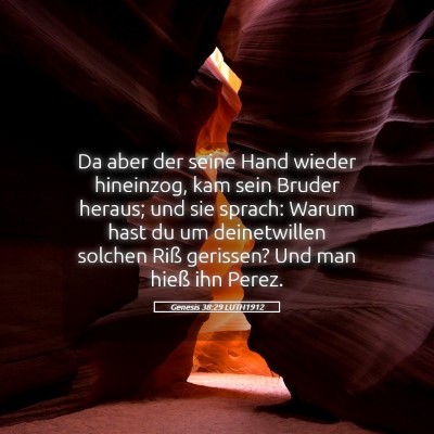 Picture 05 - Genesis 38:29 LUTH1912 - Da aber der seine Hand wieder hineinzog, kam sein - Bible Verse Picture
