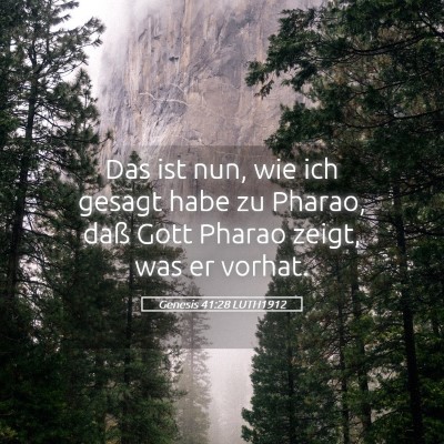 Picture 05 - Genesis 41:28 LUTH1912 - Das ist nun, wie ich gesagt habe zu Pharao, daß - Bible Verse Picture