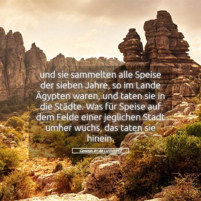 Picture 05 - Genesis 41:48 LUTH1912 - und sie sammelten alle Speise der sieben Jahre, - Bible Verse Picture