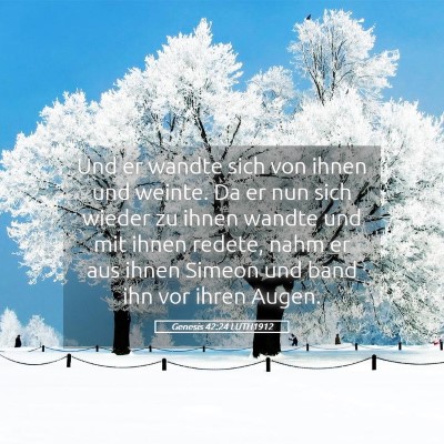 Picture 05 - Genesis 42:24 LUTH1912 - Und er wandte sich von ihnen und weinte. Da er - Bible Verse Picture