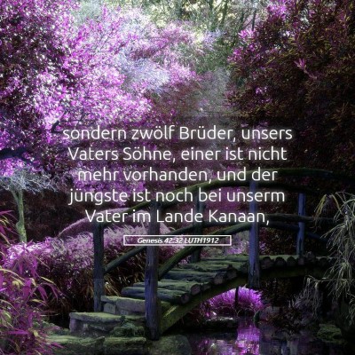 Picture 05 - Genesis 42:32 LUTH1912 - sondern zwölf Brüder, unsers Vaters Söhne, - Bible Verse Picture