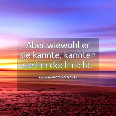 Picture 05 - Genesis 42:8 LUTH1912 - Aber wiewohl er sie kannte, kannten sie ihn doch - Bible Verse Picture