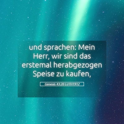 Picture 05 - Genesis 43:20 LUTH1912 - und sprachen: Mein Herr, wir sind das erstemal - Bible Verse Picture