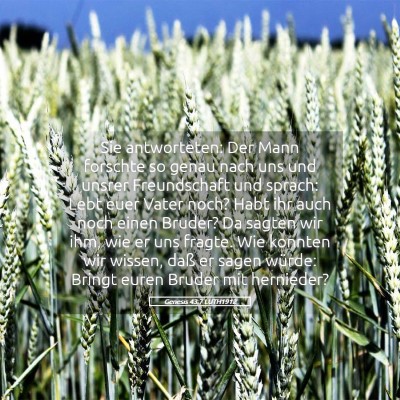 Picture 05 - Genesis 43:7 LUTH1912 - Sie antworteten: Der Mann forschte so genau nach - Bible Verse Picture