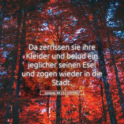 Picture 05 - Genesis 44:13 LUTH1912 - Da zerrissen sie ihre Kleider und belud ein - Bible Verse Picture