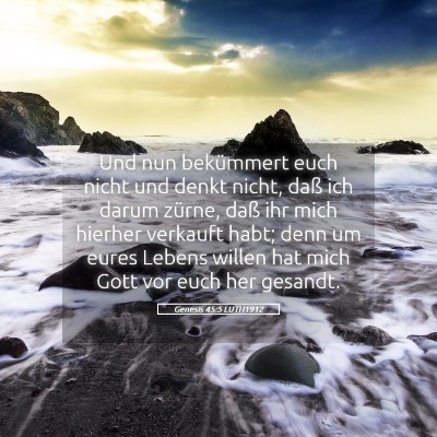 Picture 05 - Genesis 45:5 LUTH1912 - Und nun bekümmert euch nicht und denkt nicht, - Bible Verse Picture
