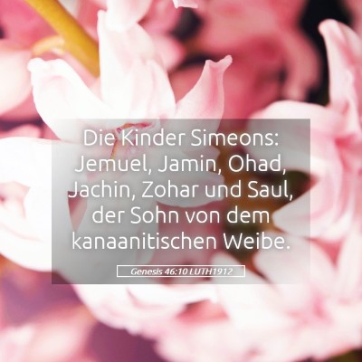 Picture 05 - Genesis 46:10 LUTH1912 - Die Kinder Simeons: Jemuel, Jamin, Ohad, Jachin, - Bible Verse Picture