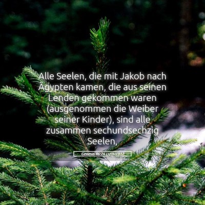 Picture 05 - Genesis 46:26 LUTH1912 - Alle Seelen, die mit Jakob nach Ägypten kamen, - Bible Verse Picture