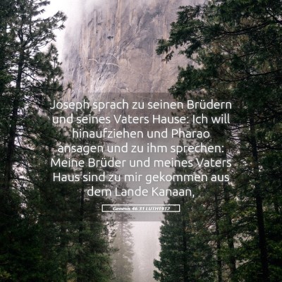 Picture 05 - Genesis 46:31 LUTH1912 - Joseph sprach zu seinen Brüdern und seines - Bible Verse Picture