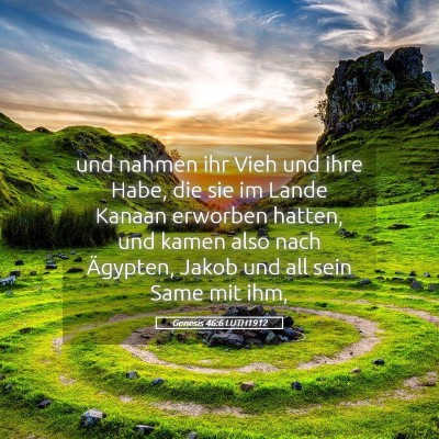 Picture 05 - Genesis 46:6 LUTH1912 - und nahmen ihr Vieh und ihre Habe, die sie im - Bible Verse Picture