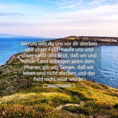 Picture 05 - Genesis 47:19 LUTH1912 - Warum läßt du uns vor dir sterben und unser - Bible Verse Picture