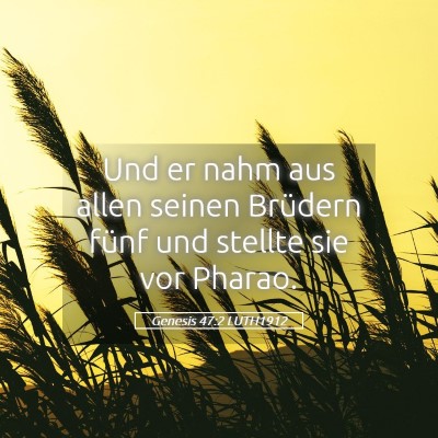 Picture 05 - Genesis 47:2 LUTH1912 - Und er nahm aus allen seinen Brüdern fünf und - Bible Verse Picture