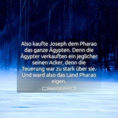 Picture 05 - Genesis 47:20 LUTH1912 - Also kaufte Joseph dem Pharao das ganze Ägypten. - Bible Verse Picture