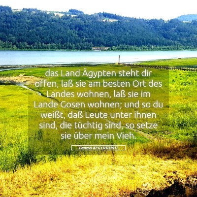 Picture 05 - Genesis 47:6 LUTH1912 - das Land Ägypten steht dir offen, laß sie am - Bible Verse Picture
