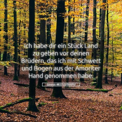 Picture 05 - Genesis 48:22 LUTH1912 - Ich habe dir ein Stück Land zu geben vor deinen - Bible Verse Picture