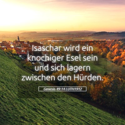 Picture 05 - Genesis 49:14 LUTH1912 - Isaschar wird ein knochiger Esel sein und sich - Bible Verse Picture