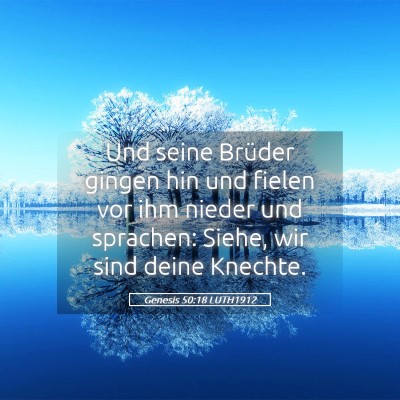 Picture 05 - Genesis 50:18 LUTH1912 - Und seine Brüder gingen hin und fielen vor ihm - Bible Verse Picture