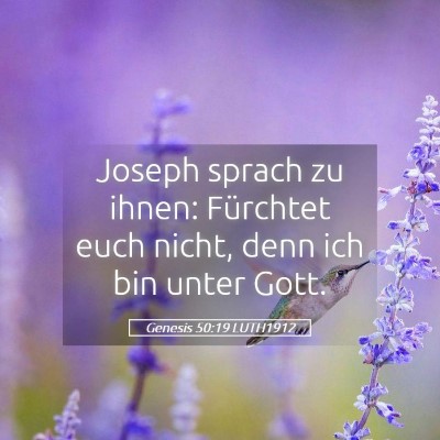 Picture 05 - Genesis 50:19 LUTH1912 - Joseph sprach zu ihnen: Fürchtet euch nicht, - Bible Verse Picture