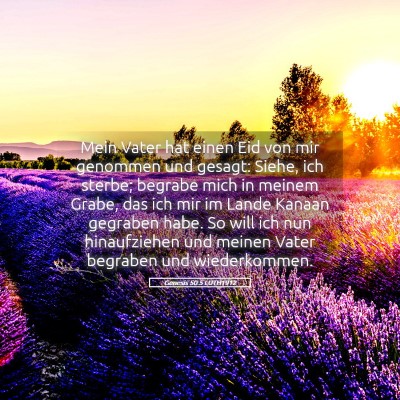 Picture 05 - Genesis 50:5 LUTH1912 - Mein Vater hat einen Eid von mir genommen und - Bible Verse Picture