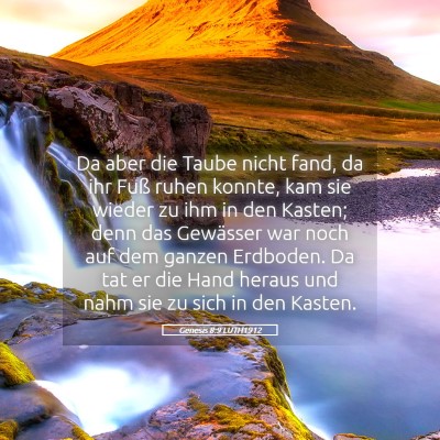 Picture 05 - Genesis 8:9 LUTH1912 - Da aber die Taube nicht fand, da ihr Fuß ruhen - Bible Verse Picture