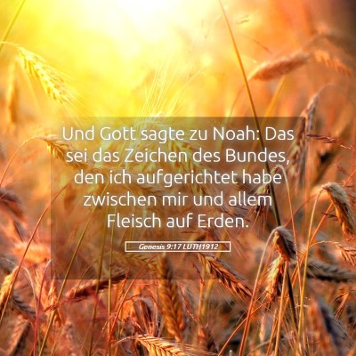 Picture 05 - Genesis 9:17 LUTH1912 - Und Gott sagte zu Noah: Das sei das Zeichen des - Bible Verse Picture