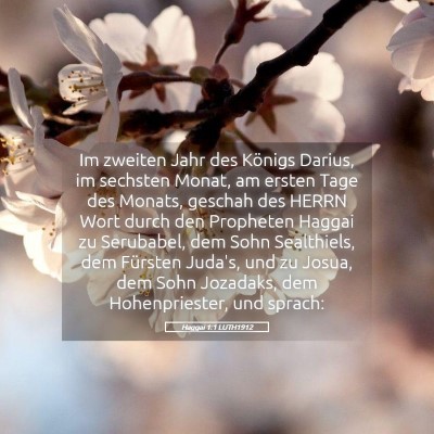 Picture 05 - Haggai 1:1 LUTH1912 - Im zweiten Jahr des Königs Darius, im sechsten - Bible Verse Picture