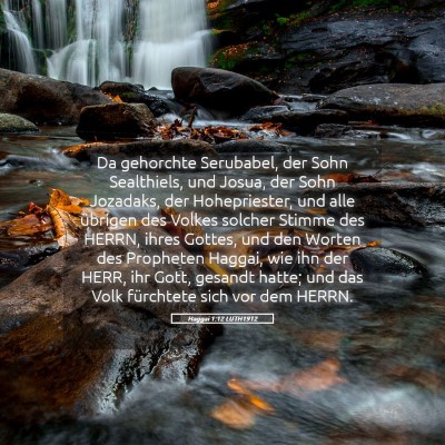 Picture 05 - Haggai 1:12 LUTH1912 - Da gehorchte Serubabel, der Sohn Sealthiels, und - Bible Verse Picture