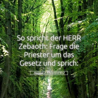 Picture 05 - Haggai 2:11 LUTH1912 - So spricht der HERR Zebaoth: Frage die Priester - Bible Verse Picture