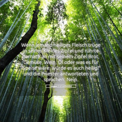 Picture 05 - Haggai 2:12 LUTH1912 - Wenn jemand heiliges Fleisch trüge in seines - Bible Verse Picture