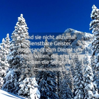 Picture 05 - Hebräer 1:14 LUTH1912 - Sind sie nicht allzumal dienstbare Geister, - Bible Verse Picture